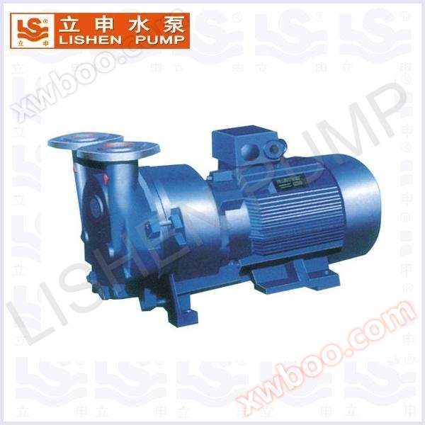 SKA/2BV type water ring vacuum pump