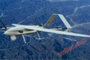 Red Dragon 812 (CL-812) 2kg elektrische verticale start en landing vaste vleugel drone