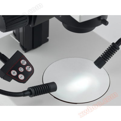 Leica Leica LED3000 SLI LED 거위목 튜브 조명기